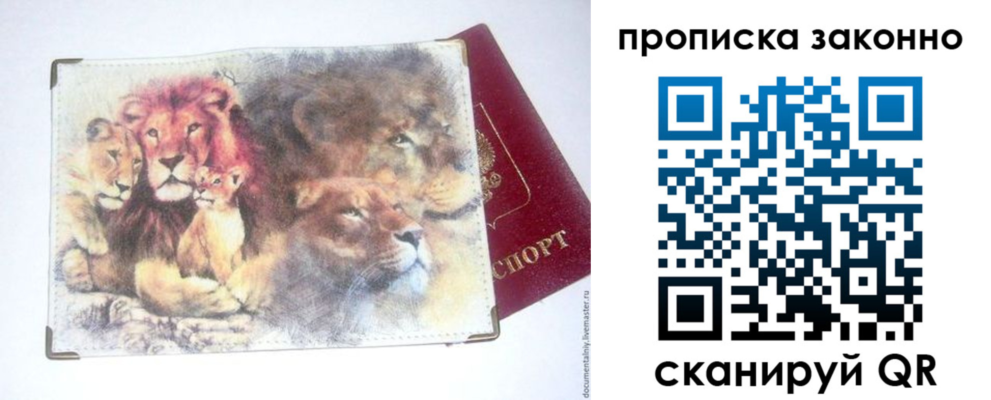 прописка от собственника в Фокино