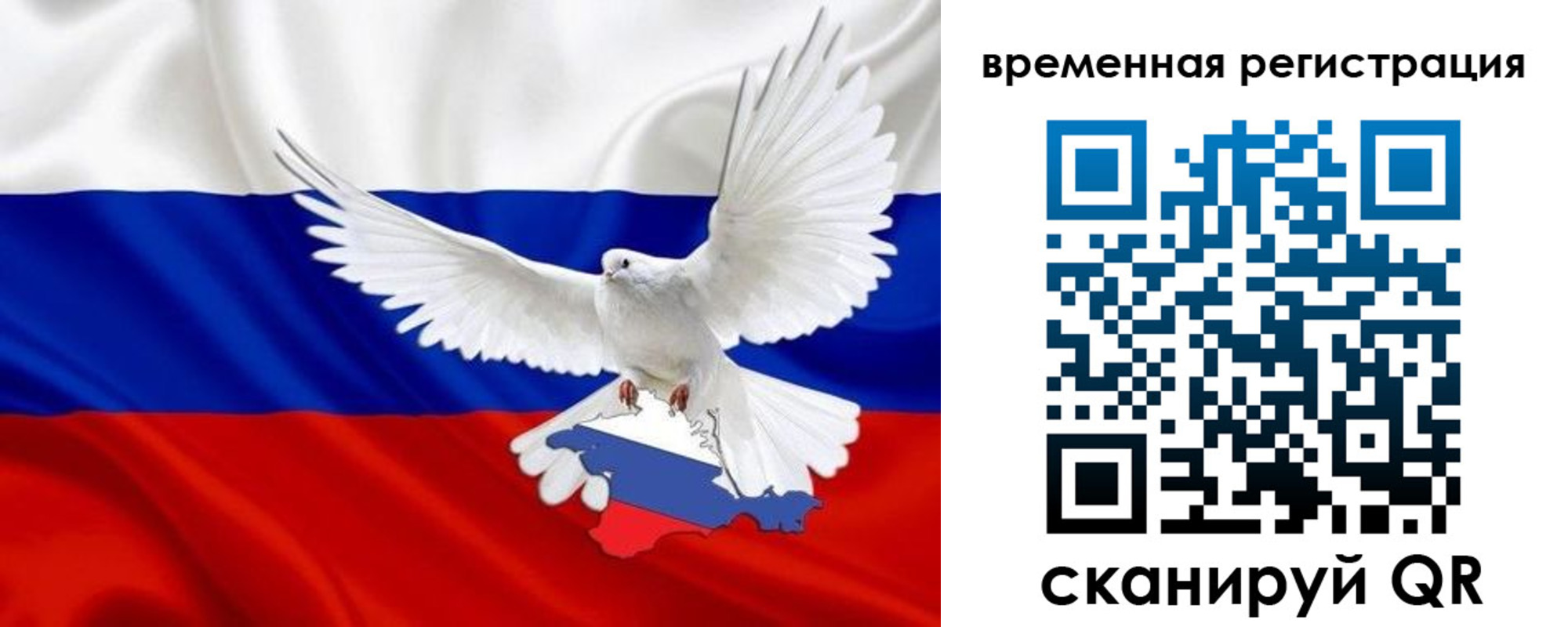 прописка законно в Фокино